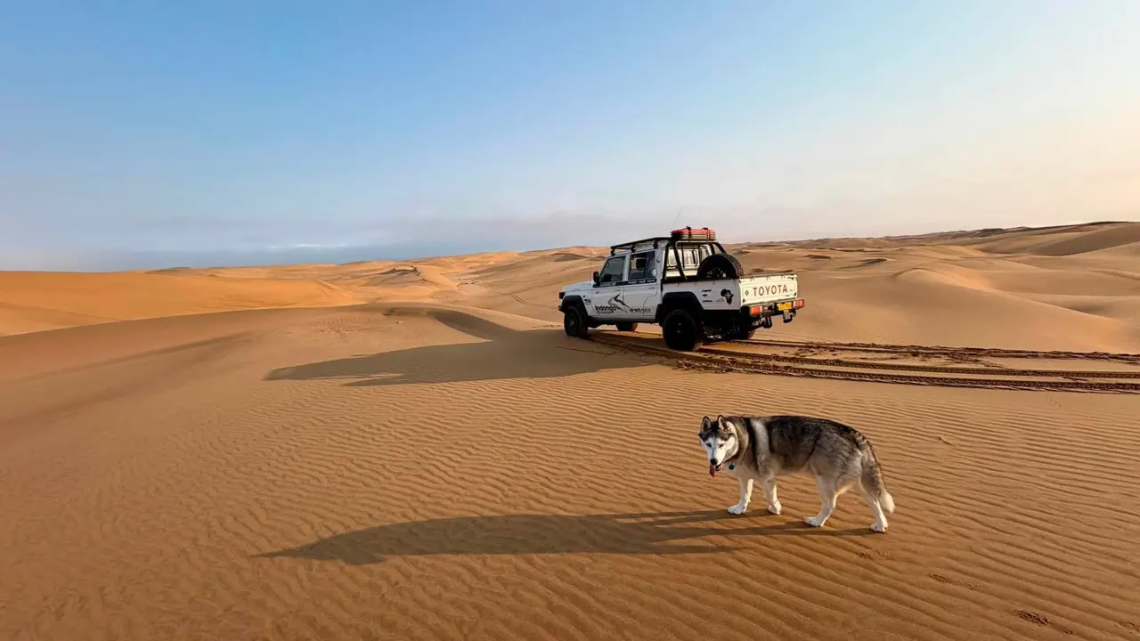 A Boostech-tuned Land Cruiser proven in demanding Southern African conditions