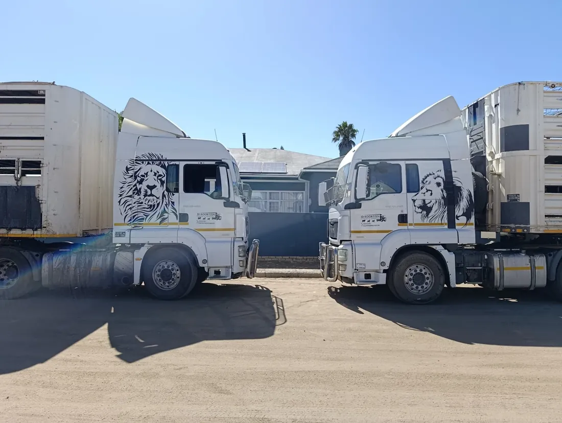 Two white Scania fleet trucks with lion graphics parked facing one another